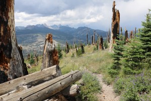 hiking trail 